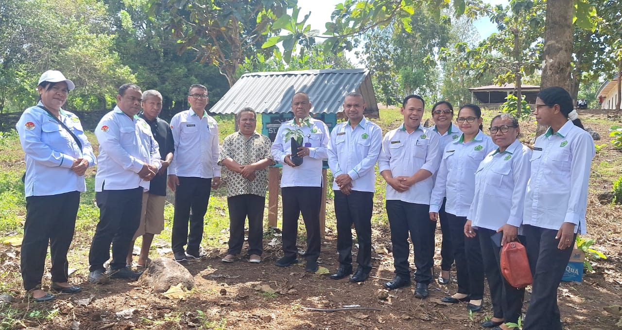 Penanaman Pohon